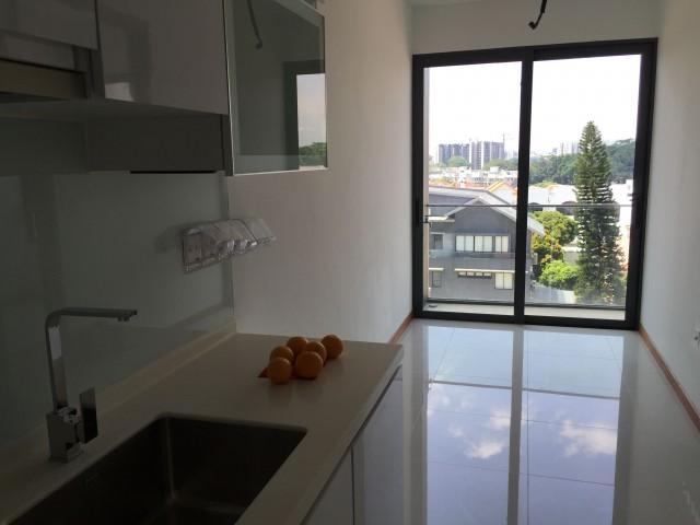 Presto @ Upper Serangoon (D19), Apartment #136425532